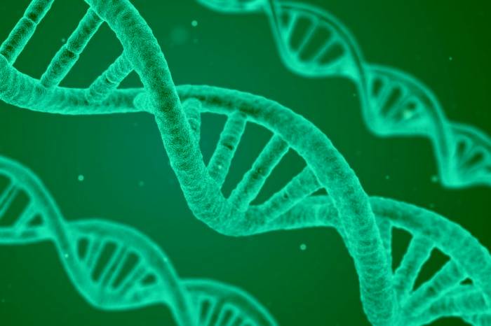 Кое е водещото генетиката или отглеждането Кое определя как